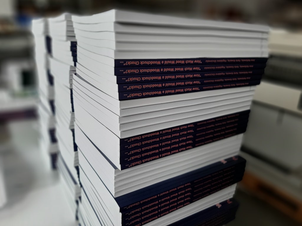 druk podręczników do języka angielskiego